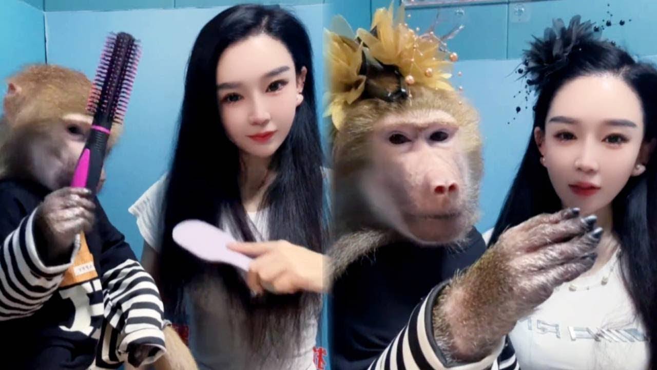 Бабуины подражают людям, расчесывая волосы и нося цветы. Обезьяна превратилась в духа.