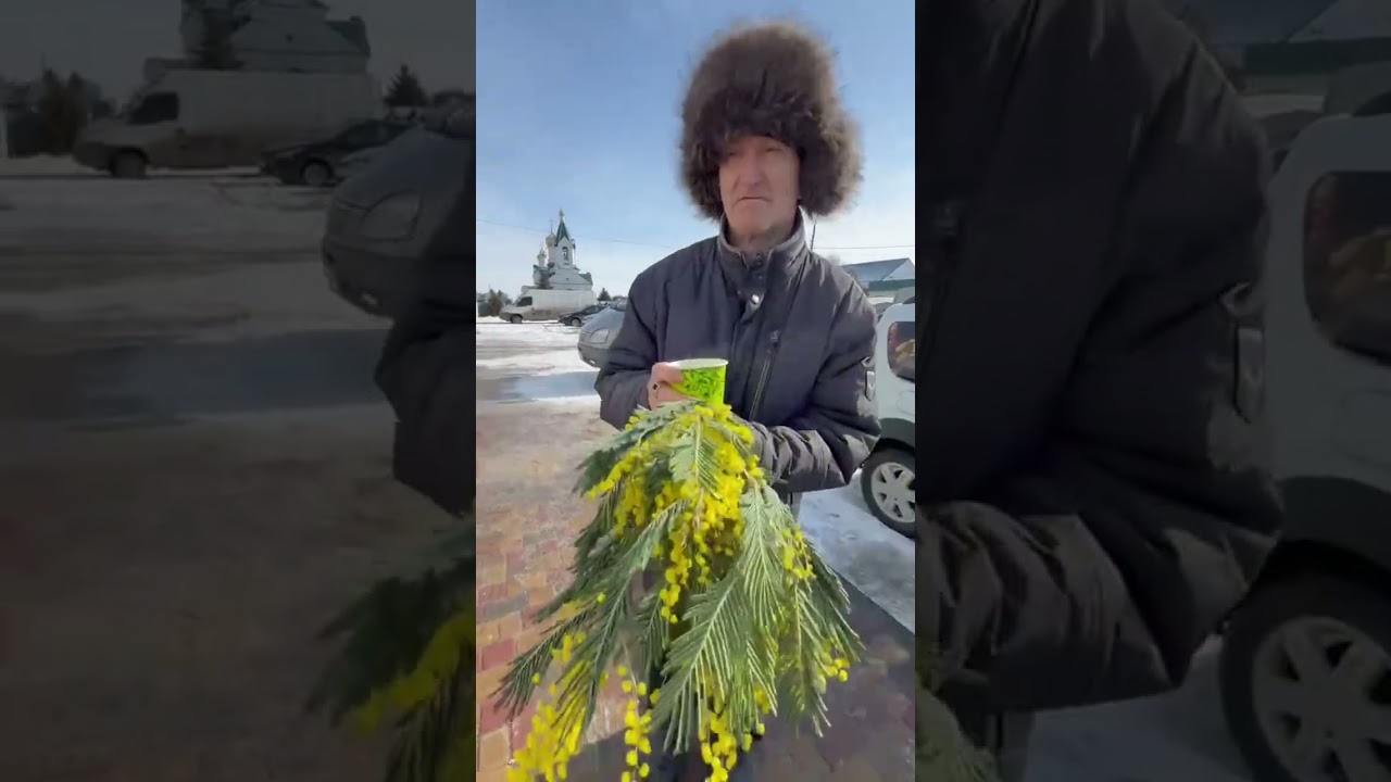 Мимоза #рек #рекомендации #топ #дед #волгоград 