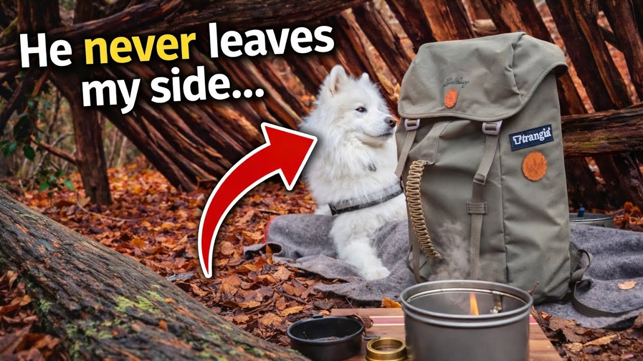 Trangia recipes | Sticky Salmon and cous cous. Lunch with a faithful companion.
