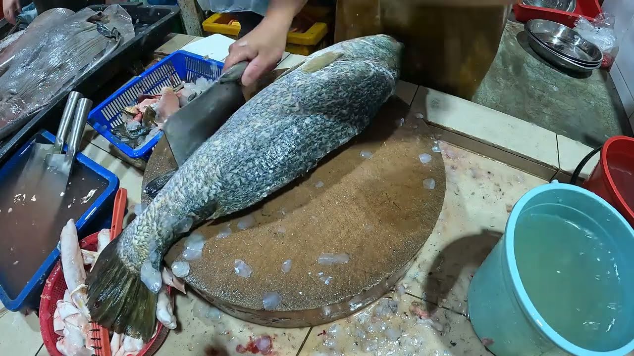 Master Fish Cutting Skills | Satisfying Seafood Processing & Knife Techniques