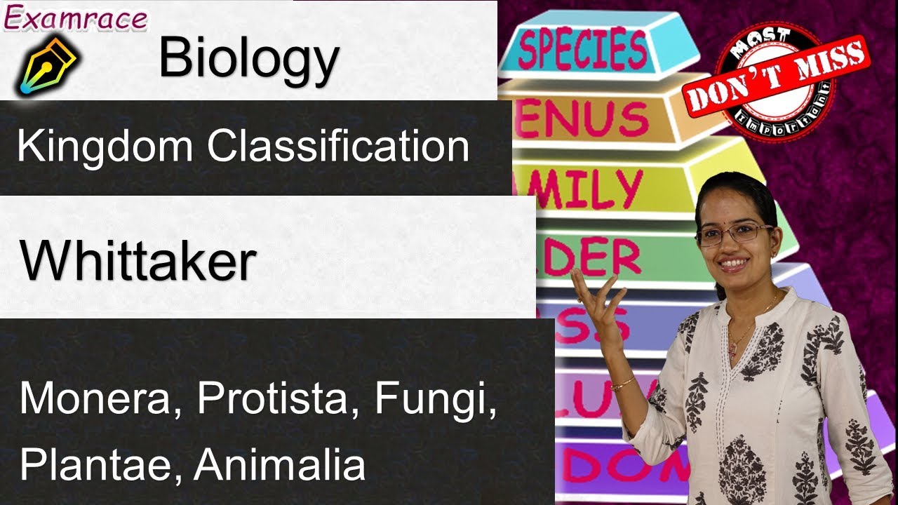 Whittaker 5 Kingdom Classification - Monera, Protista, Fungi, Plantae, Animalia