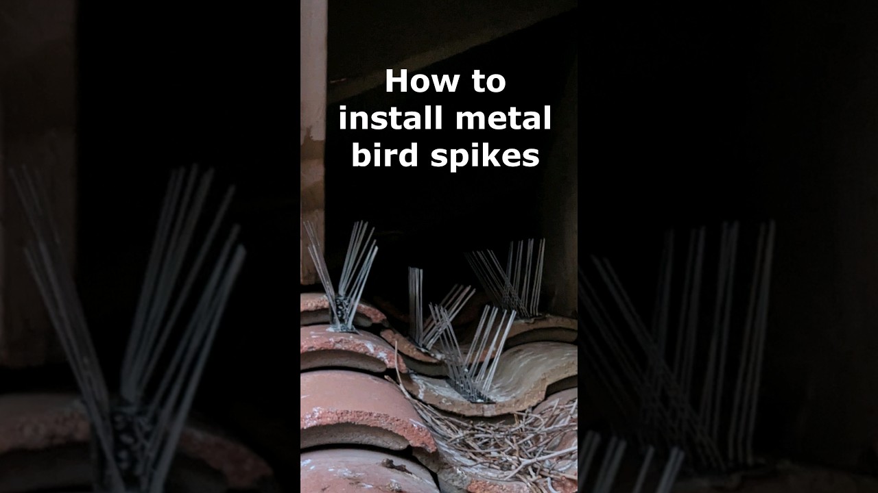 How to install metal bird spikes - in under 1 minute