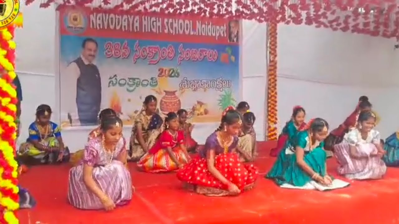 Sankranti celebrations at Navodaya Naidupeta #sankranthi #viralvideo #naidupeta 