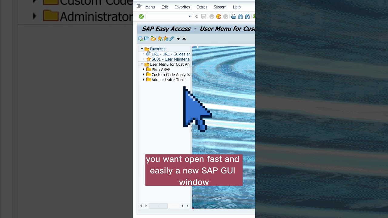 SAP GUI Shortcut: 💪 Open new Window (Ctrl + +) #sap #shortcut #tips