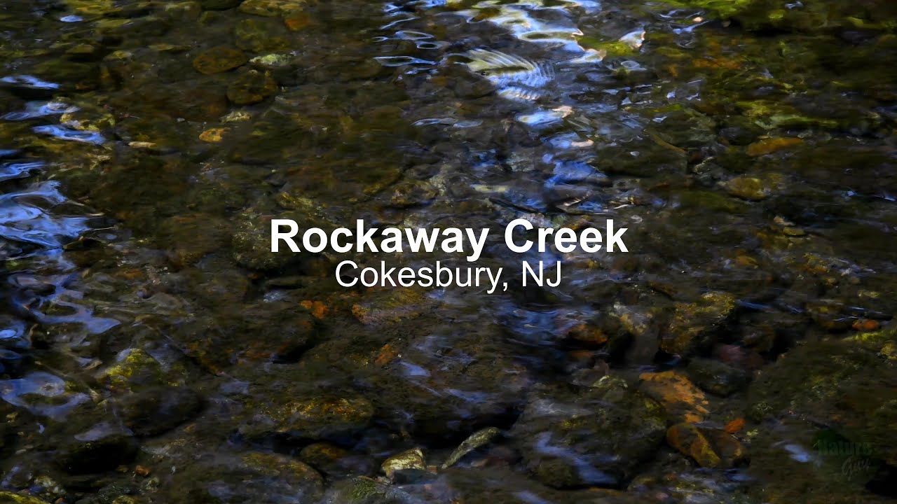 Rockaway Creek 4K