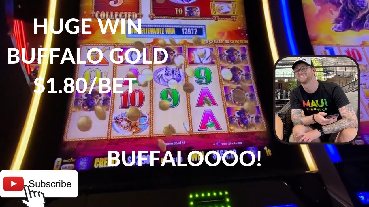 КРУПНЫЙ ВЫИГРЫШ в Buffalo Gold! @ River Rock Casino