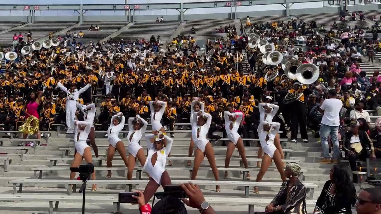 ASU Stingettes Zero Qtr против Divas | Magic City Classic 2025