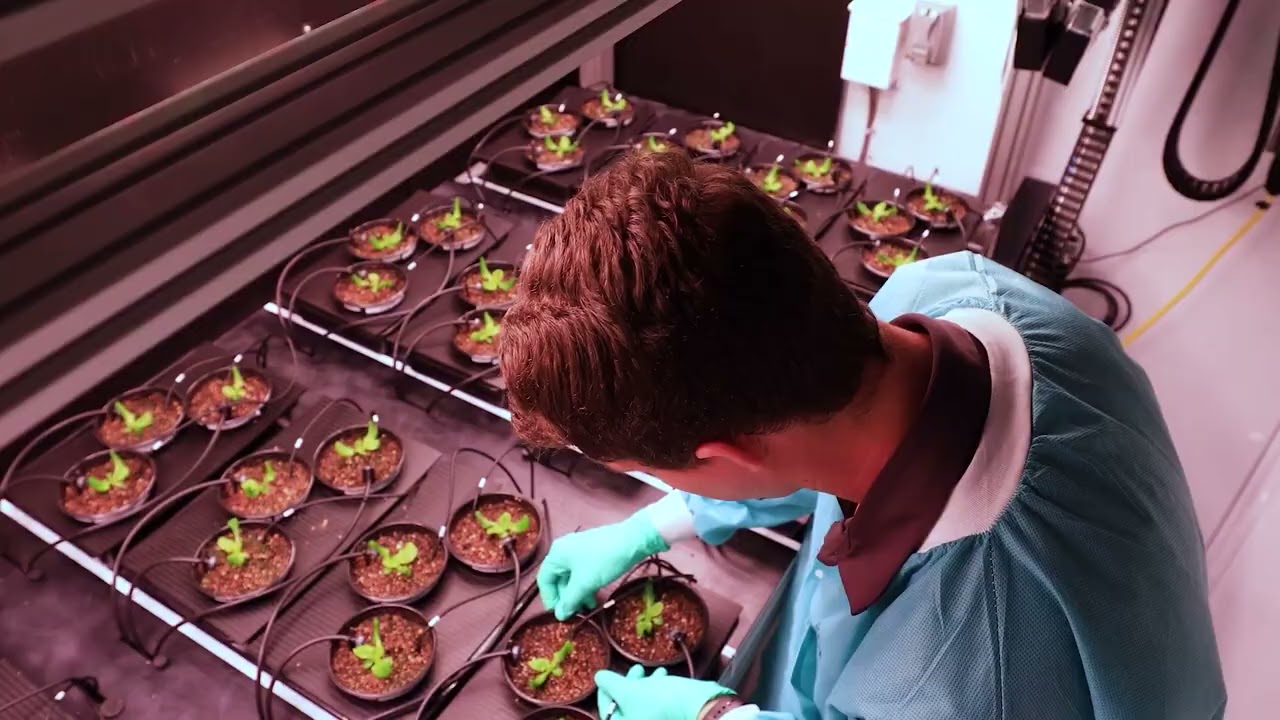 Why Do We Grow Plants in Space? We Asked a NASA Expert| Nasa Wonders |