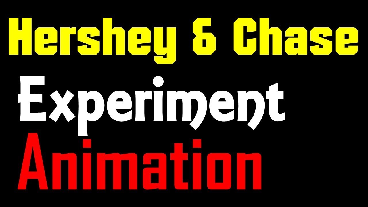 Hershey and Chase experiment animation