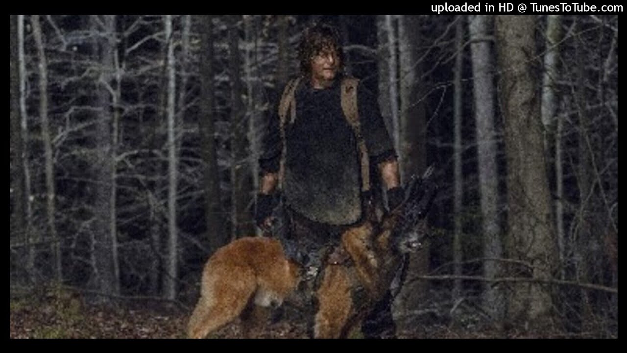 The Walking Dead 1104 Review now available on entertainmenttalk.org