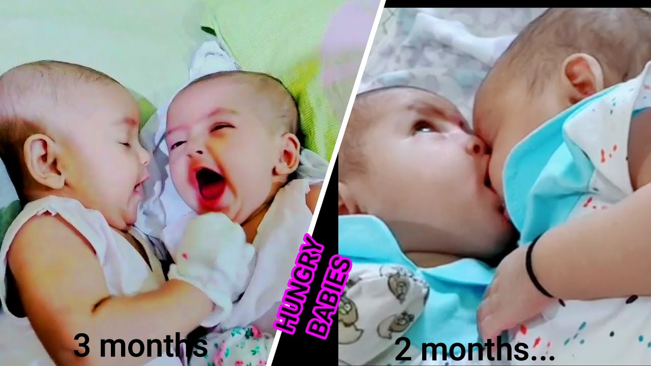 TWINS TRYING TO EAT EACH OTHER |2 - 3- 4months twins video|HUNGRY|#twinbabies #funnyvideo #babyvideo