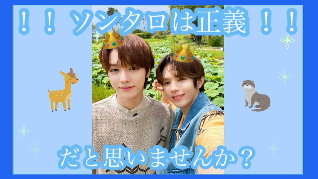 🦌ソンタロ🦦って尊すぎてもはや正義だと思う（同志よ集まれ）