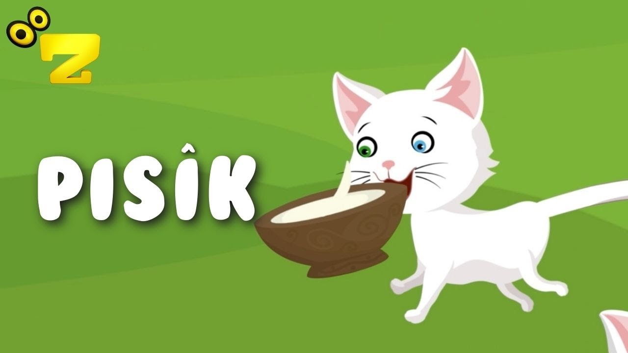 Zarok TV - 🎵 Pis&icirc;k🎵