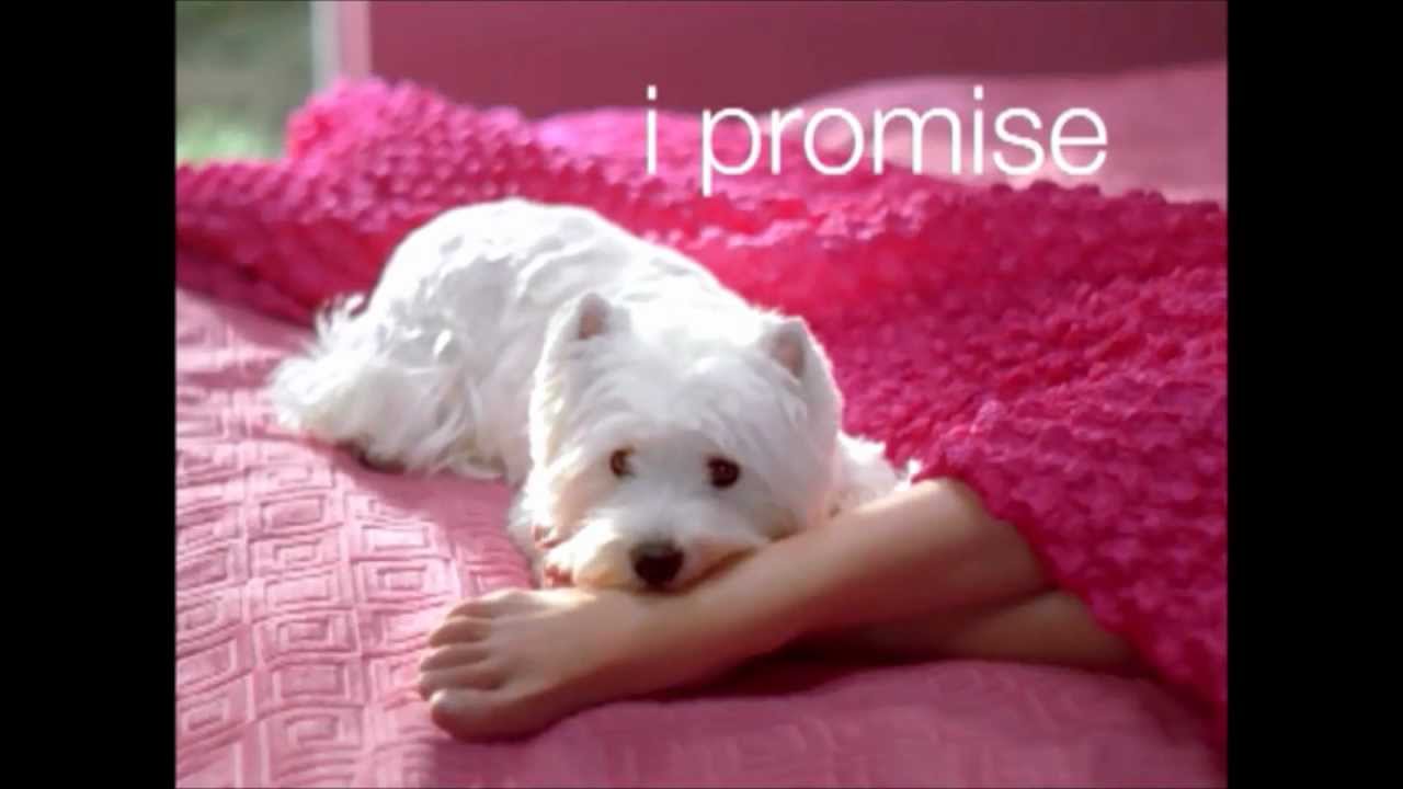 Top dog commercials (for me...)