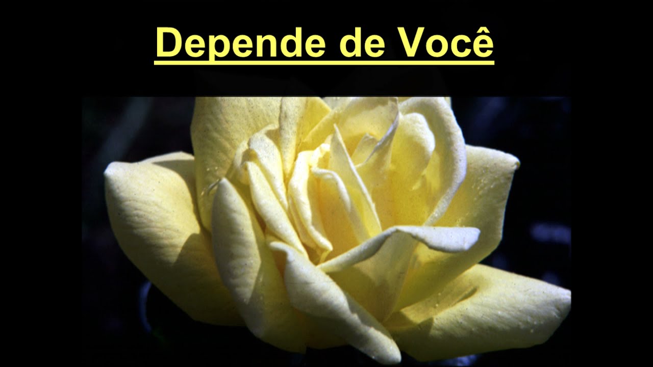 Depende de Você - Música Espírita