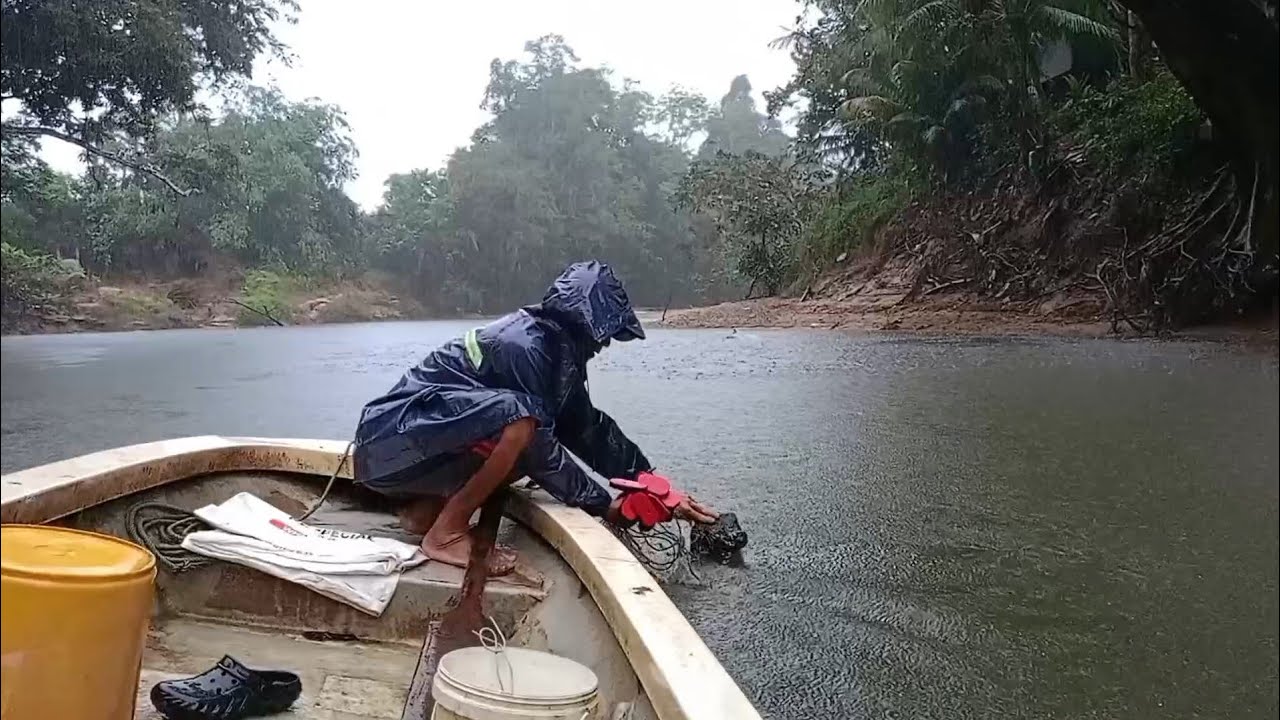 Meredah Hujan Di Awal Pagi Untuk Memungut Hasil Pukat Di Sungai..