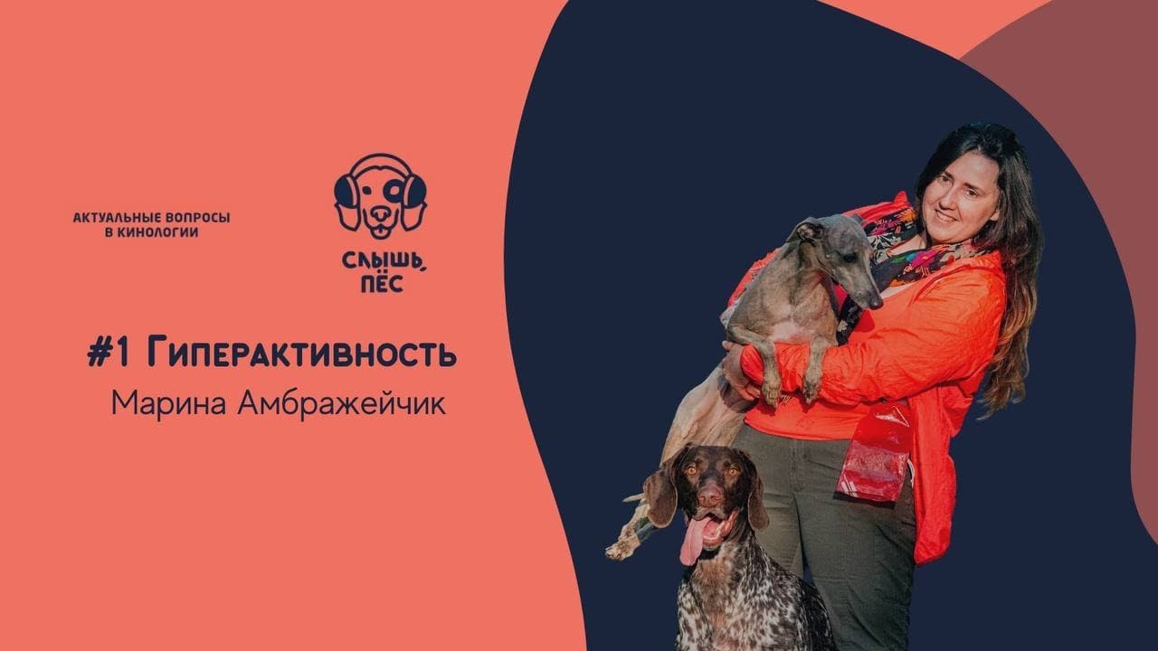 Подкаст Слышь, пёс #1 Гиперактивность у собак