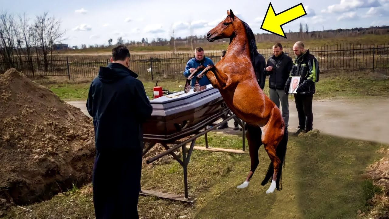 Лошадь стала наступать на гроб. Когда крышка лопнула, всем пришлось плакать