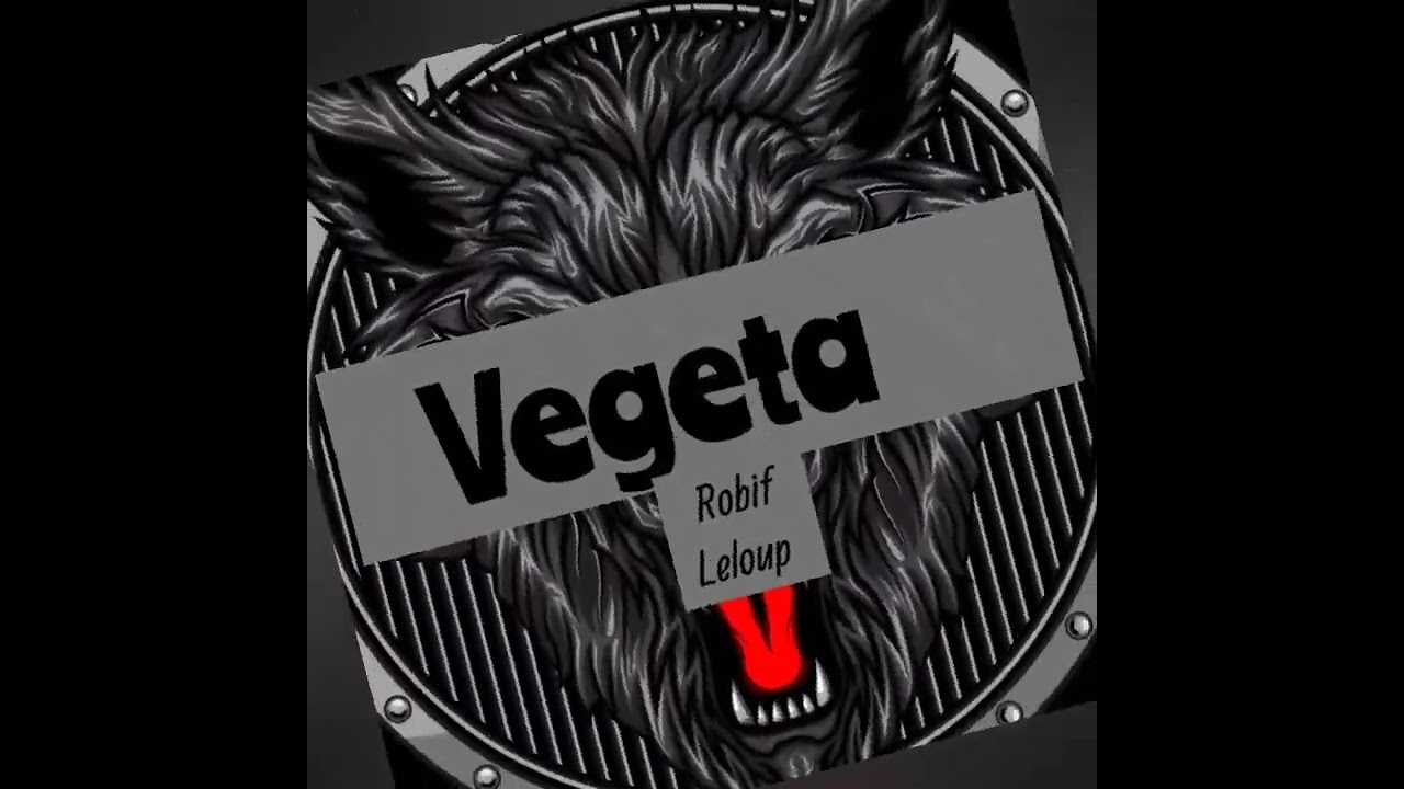 ROBIF LELOUP - VEGETA ( Audio officiel )rap Burkina Faso