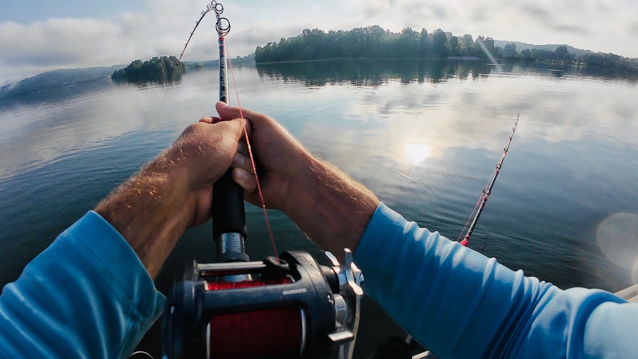SIMPLE and EASY Method for Catching BIG Catfish All Summer Long