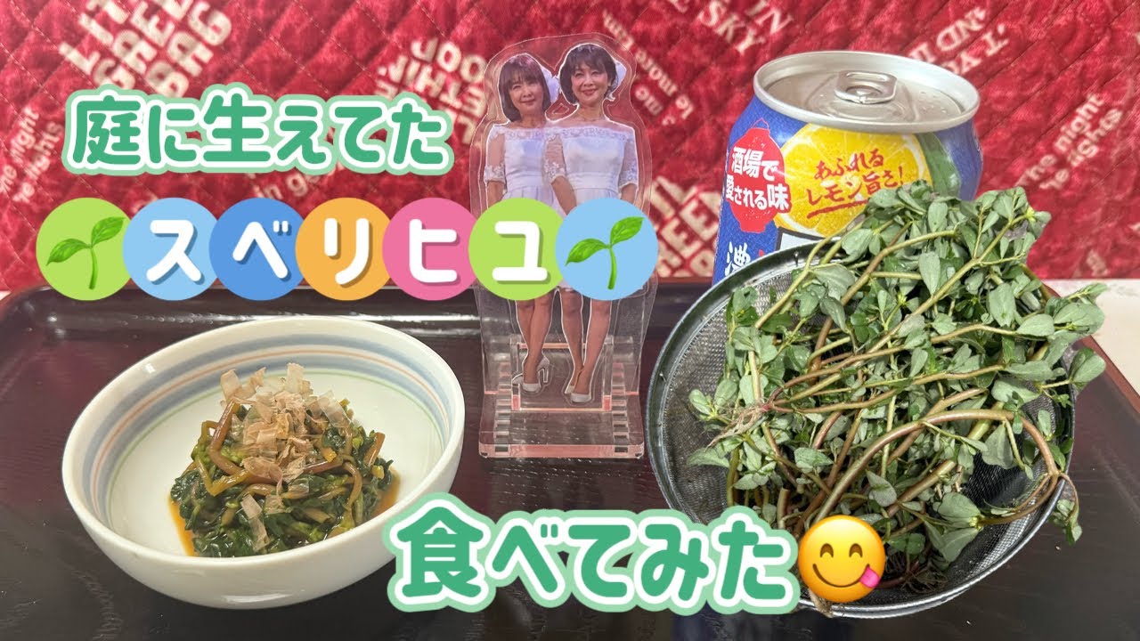 美味い『庭のスベリヒユ食べてみた』 スベリヒユの辛子和え