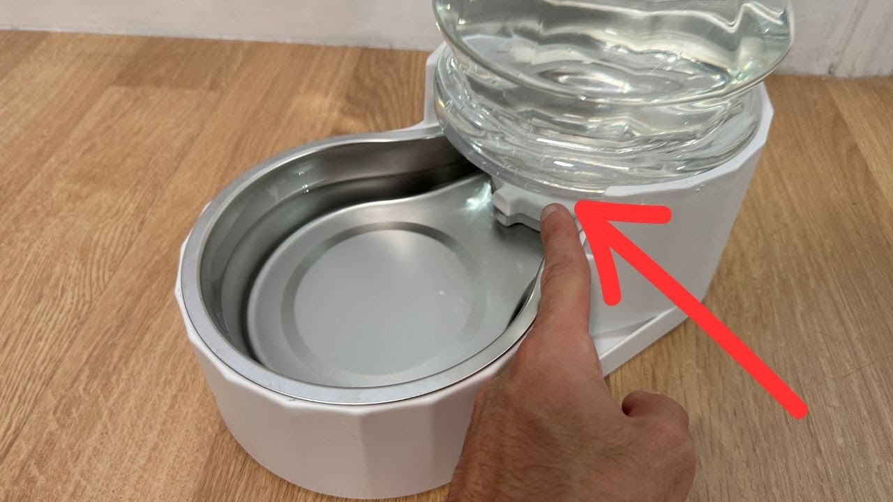 RIZZARI Automatic 8L Pet Waterer Review: Perfect for Cats & Dogs