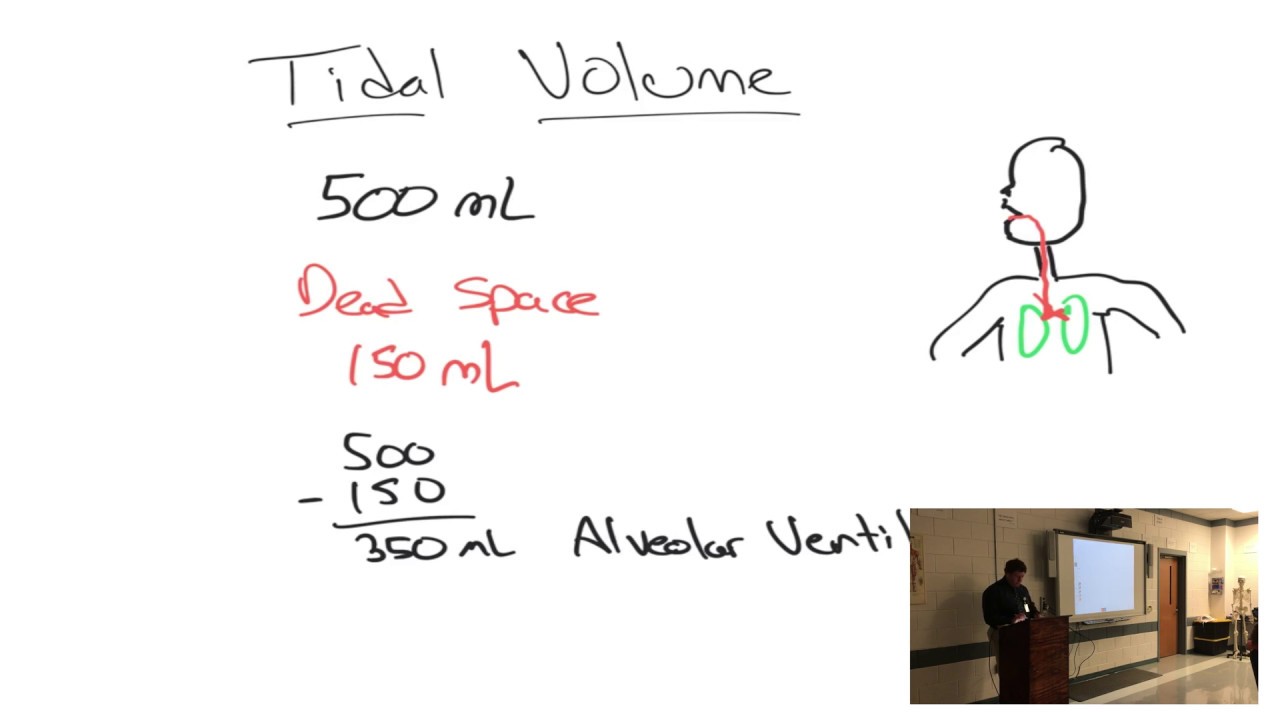Minute Ventilation Lecture