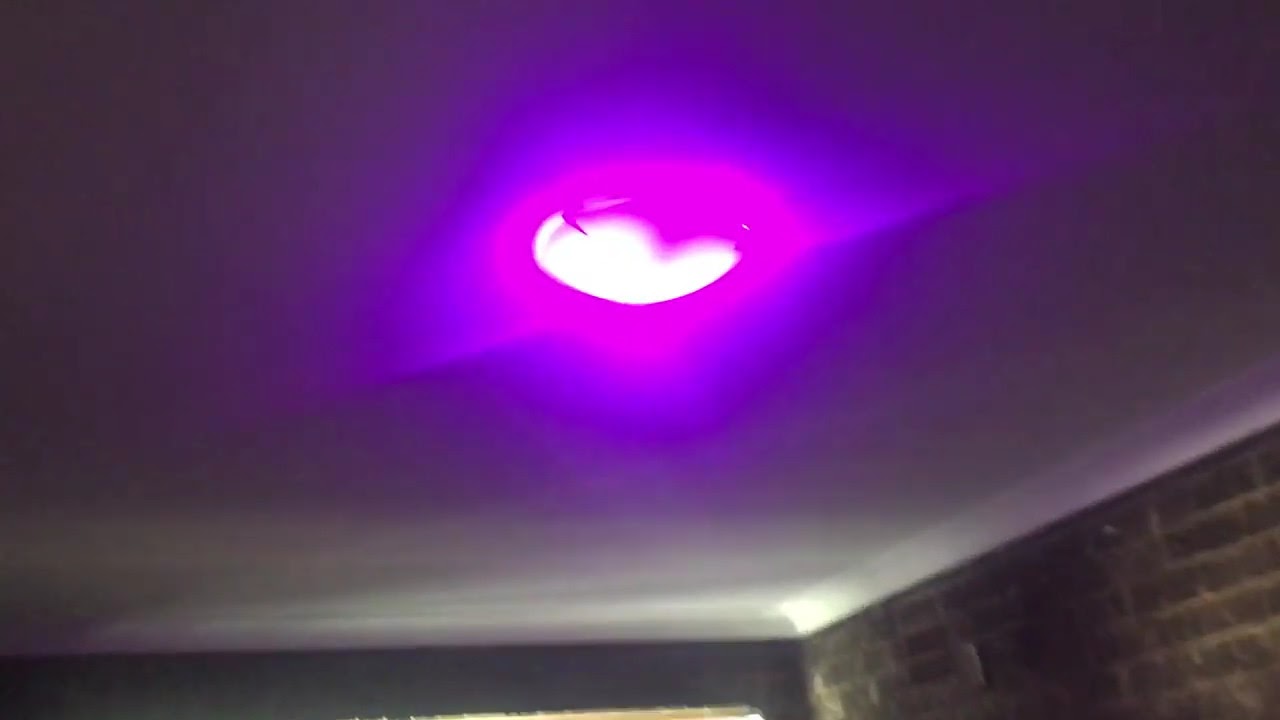 Genio smart bulb