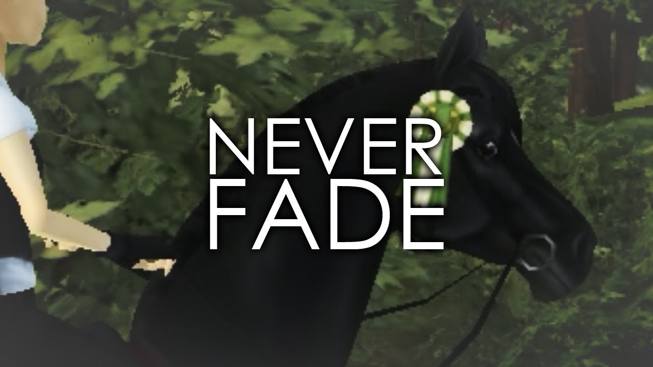NEVER FADE [ SSO ]