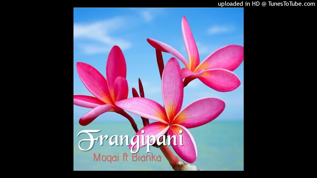 Moqai ft Bianka- Frangipani (2024)