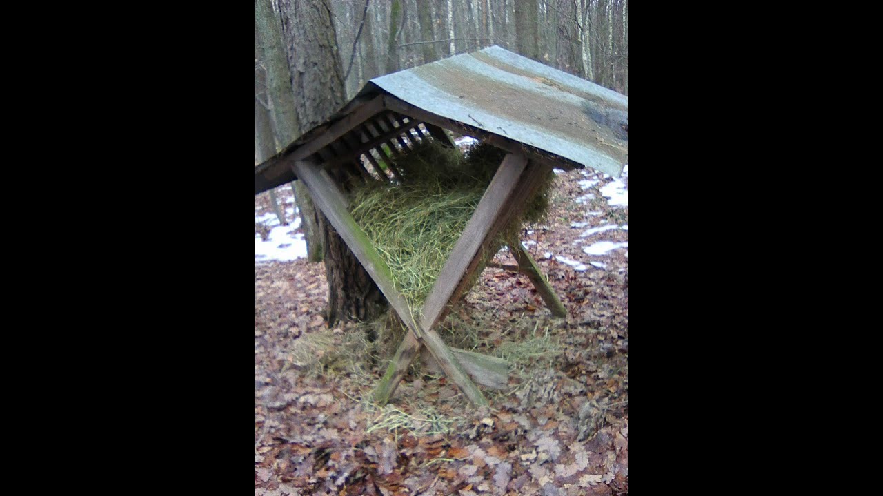 Přikrmování zvěře