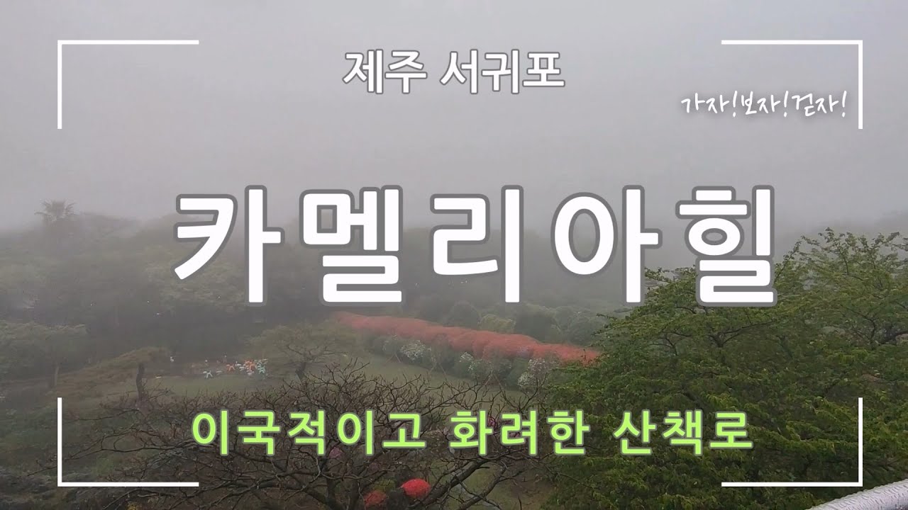 [2022한국관광 100선] 제주 카멜리아 힐(이국적이고 화려한 산책길)