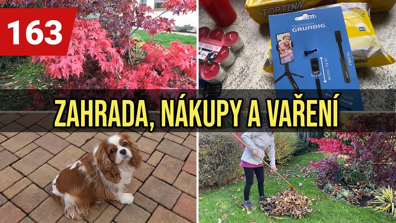 VLOG | Nákupy ACTION | Podzimní zahrada | Trhané maso