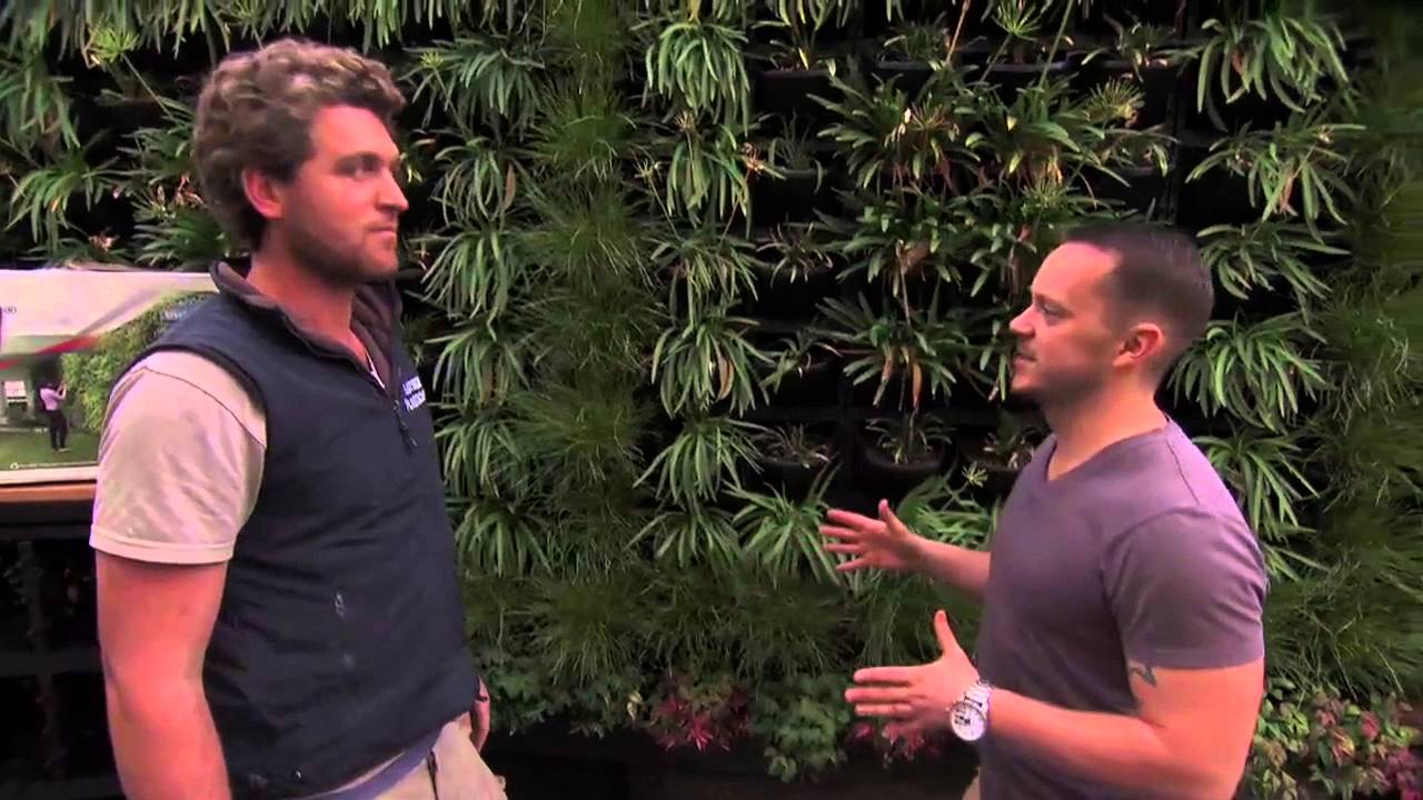 Vertical Garden & Green Wall System - Gro Wall® 4 featured on Healthy Homes Australia