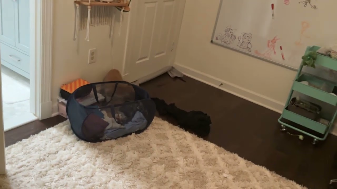 They fight 