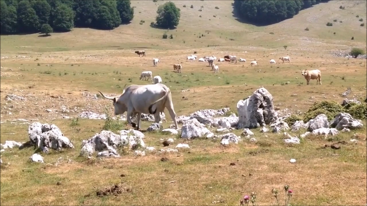 #TiRacconto il Parco Naturale Regionale dei Monti Simbruini