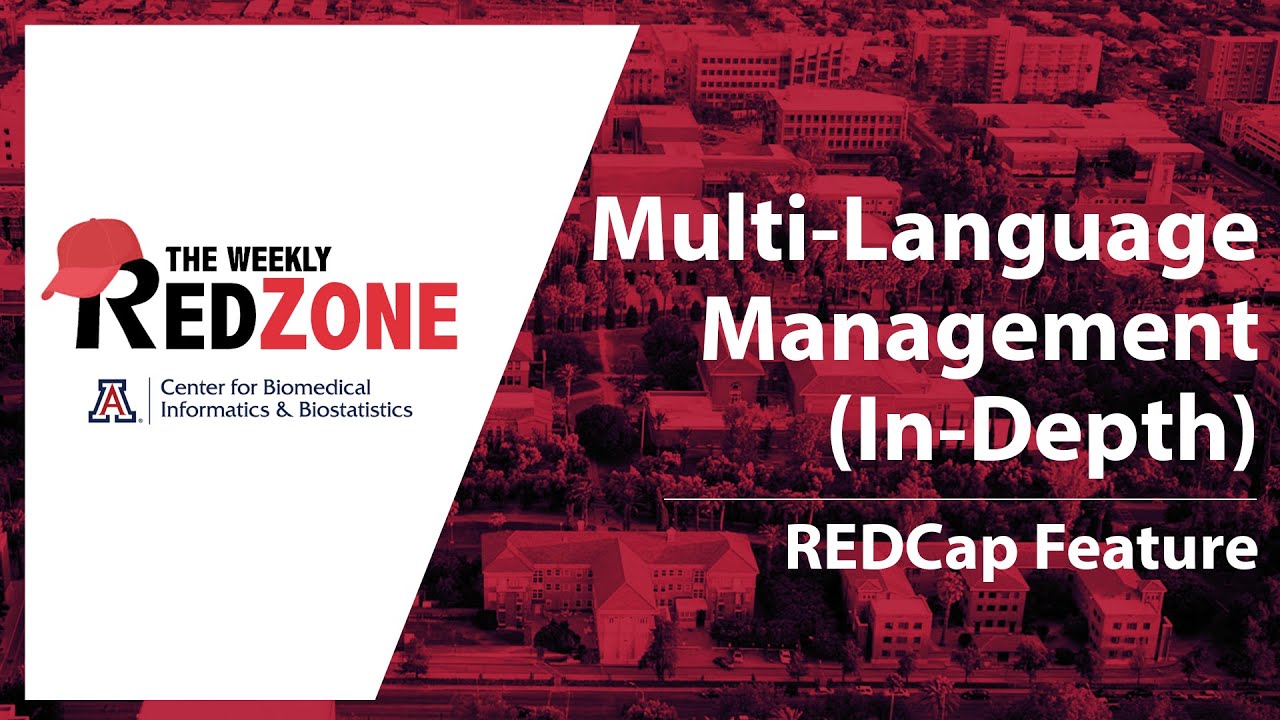 REDZone - Multi-Language Management (In Depth)