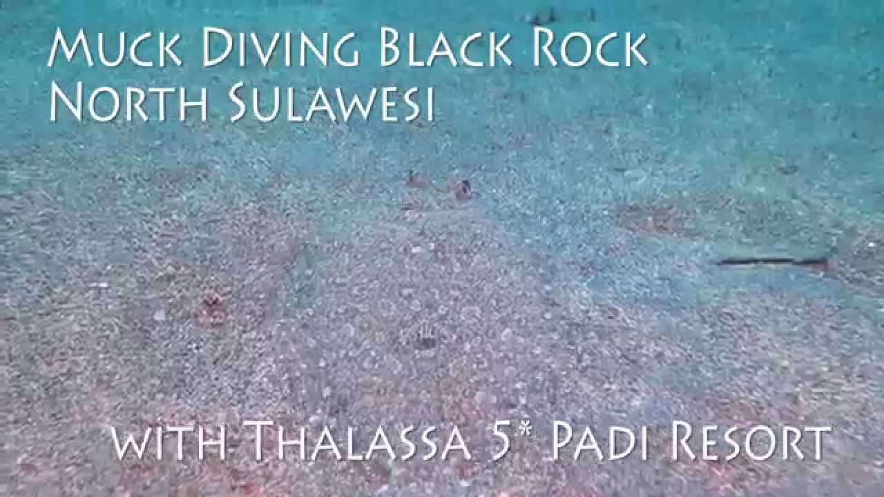Scuba Diving Black Rock Muck Dive site in Manado Bay, North Sulawesi, Indonesia