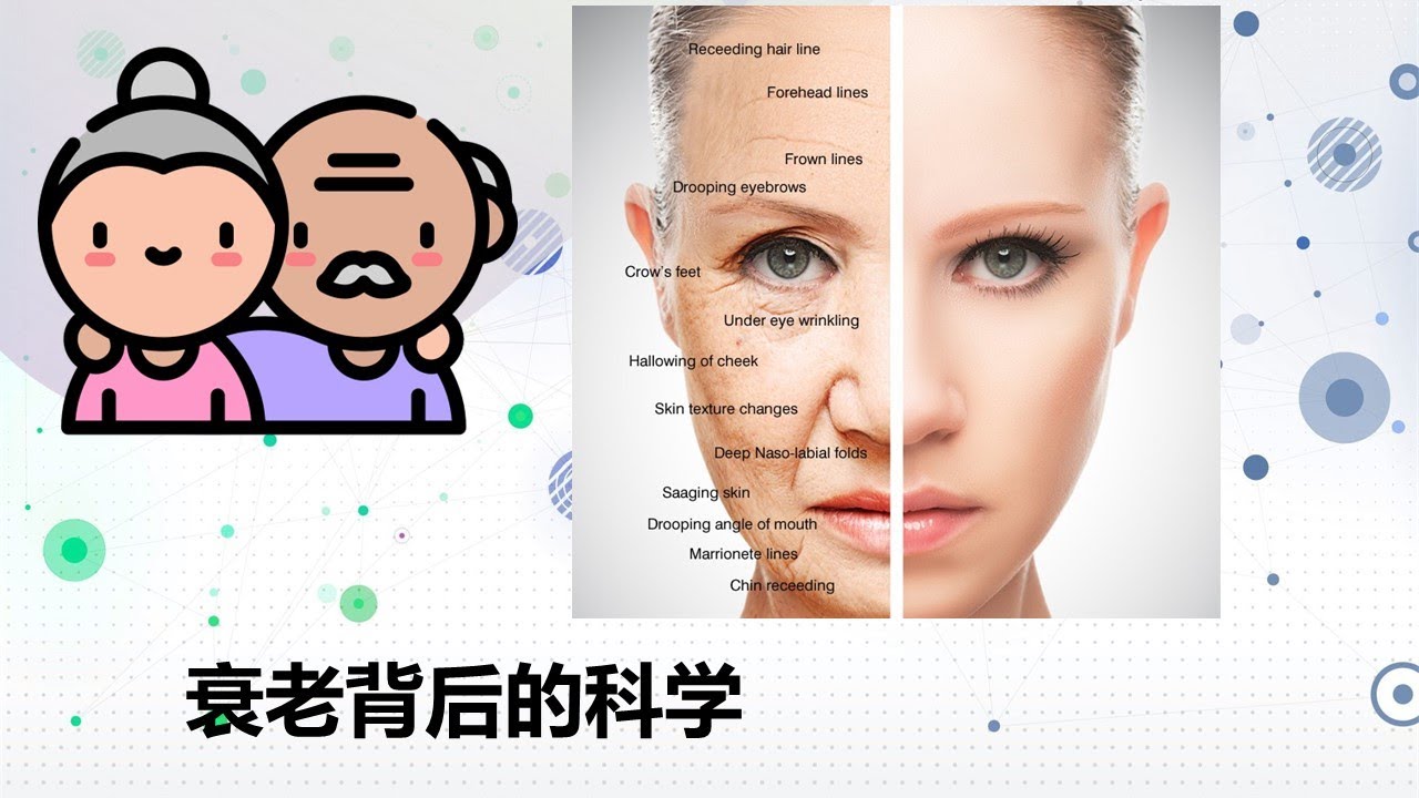 了解衰老背后的科学 - 5 分钟内解释