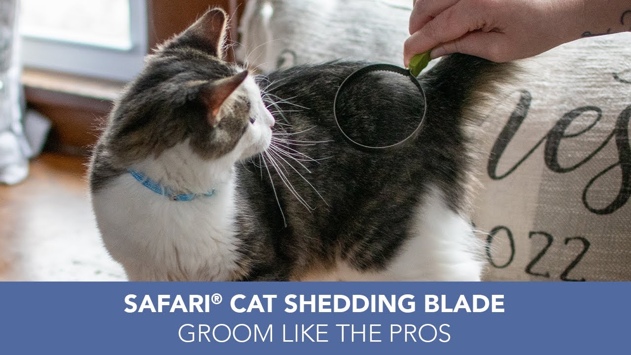 Safari&reg; Cat Shedding Blade: De-Shed Your Cat with Ease