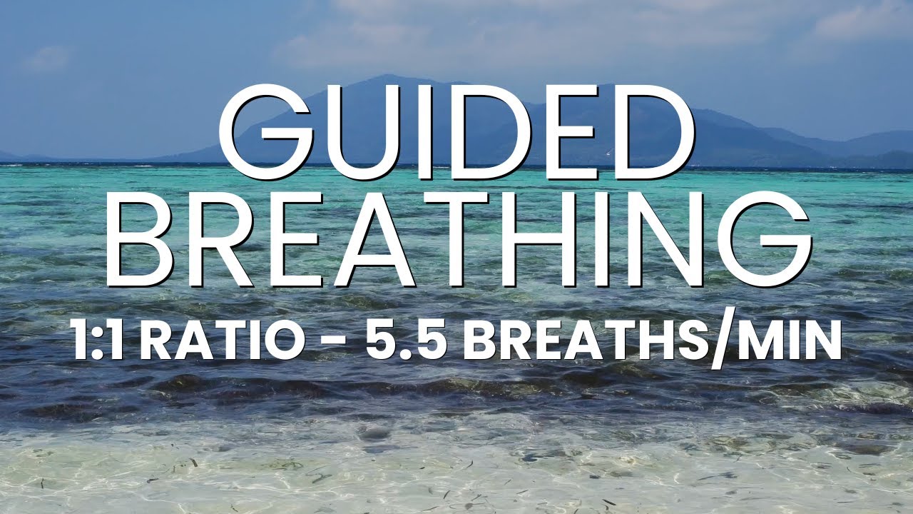 Guided Breathing Exercise: 1-to-1 ratio | 5.5 Breaths Per Minute