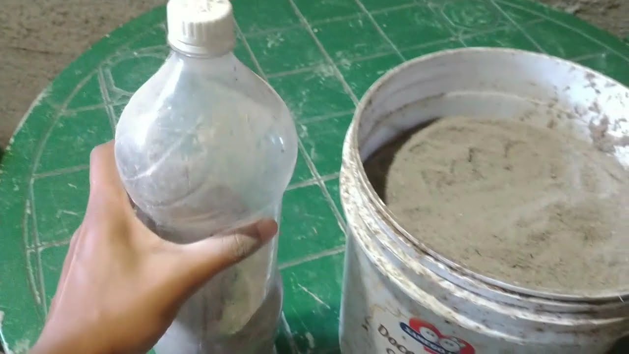 Piolho de Galinha: Remédio natural e custo zero