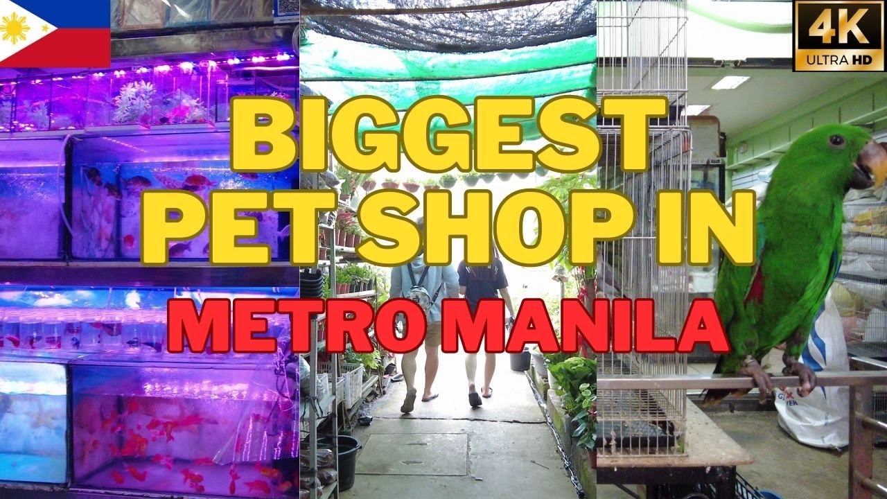 [4K] Cartimar Pet Center/Walking Tour