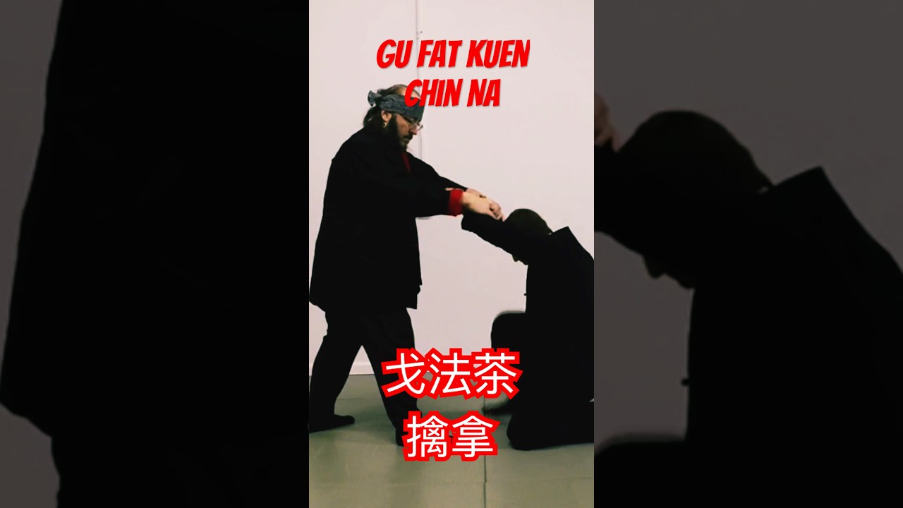 戈法茶擒拿 Gu Fat Kuen Chin Na