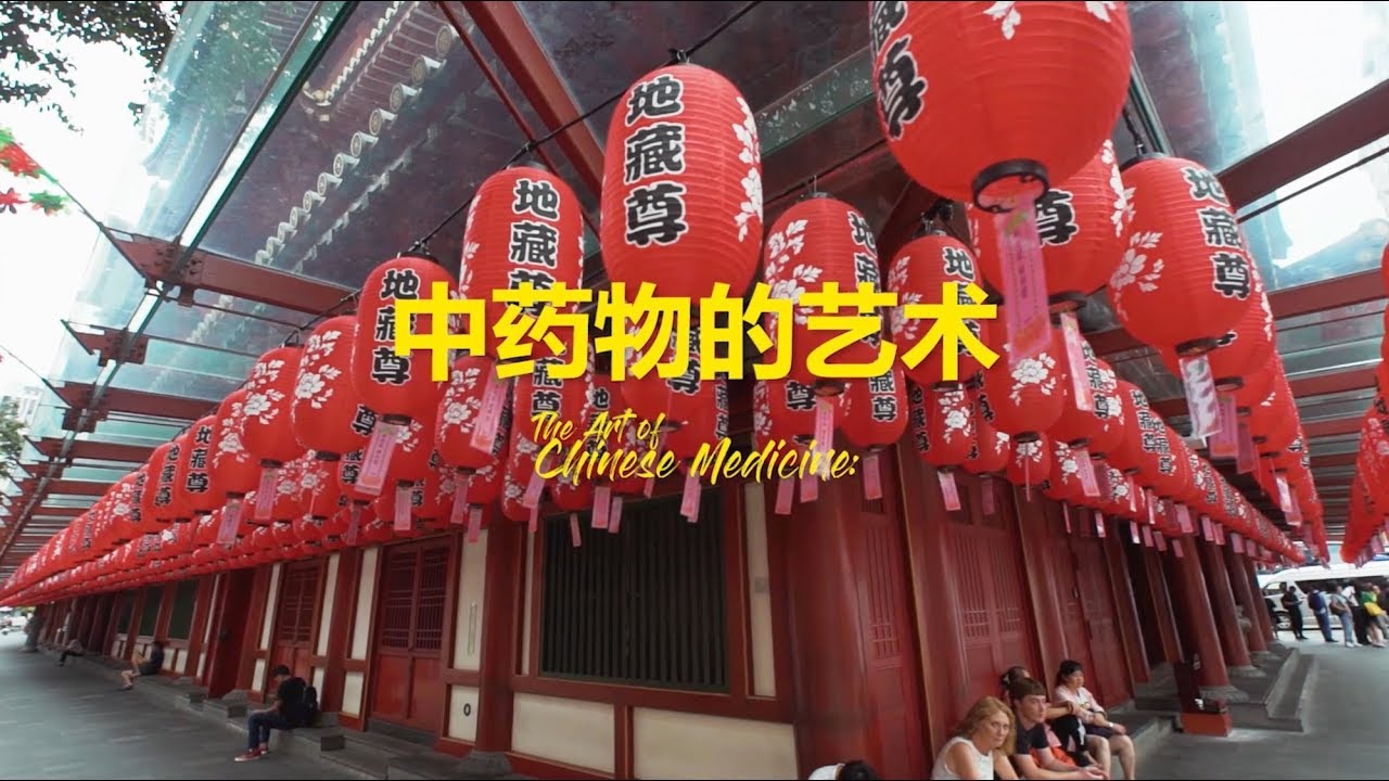 The Art of Chinese Medicine &ndash; 中药物的艺术  / Jose Jeuland - Chinatown, Singapore
