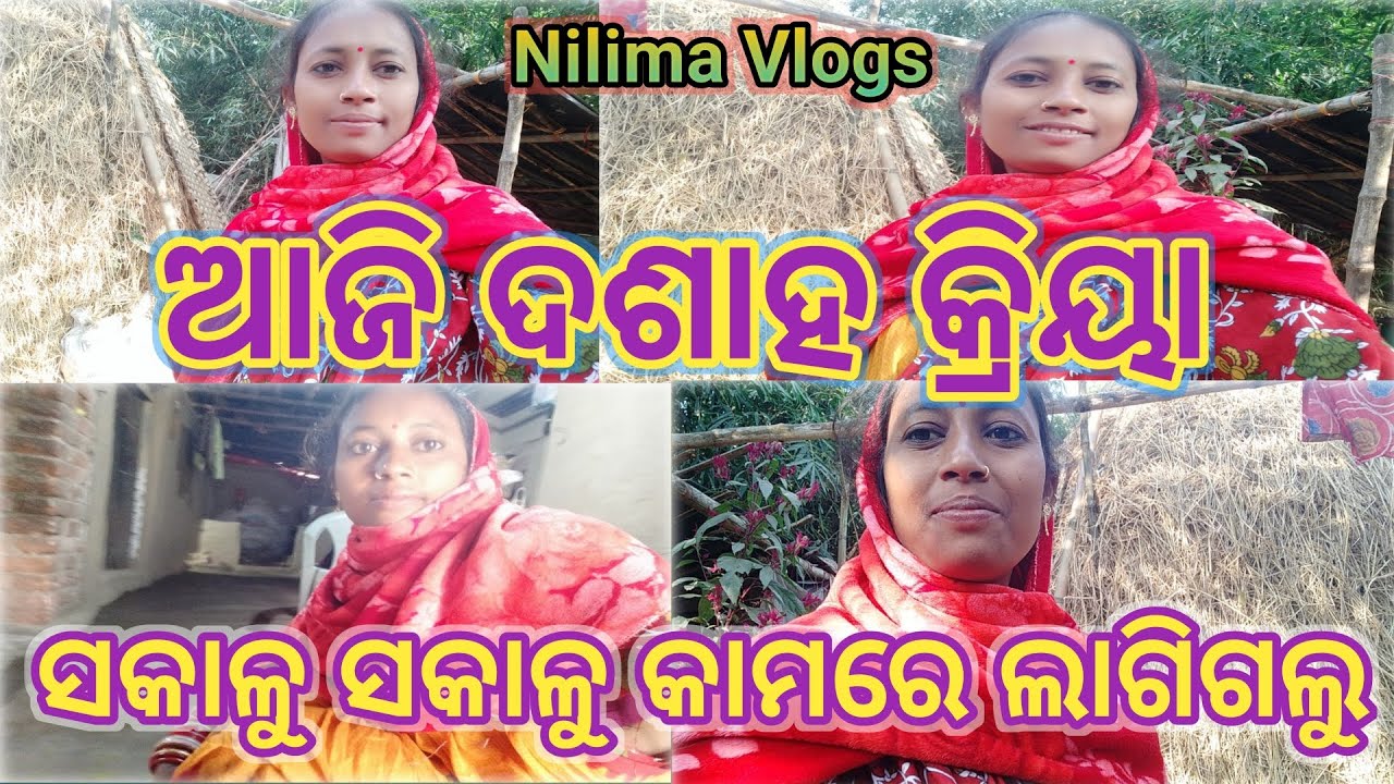 ସକାଳୁ ସକାଳୁ କାମରେ ଲାଗିଲୁ//villagevlogs//nilimavlogs//housewifevlogs//odiavlogs