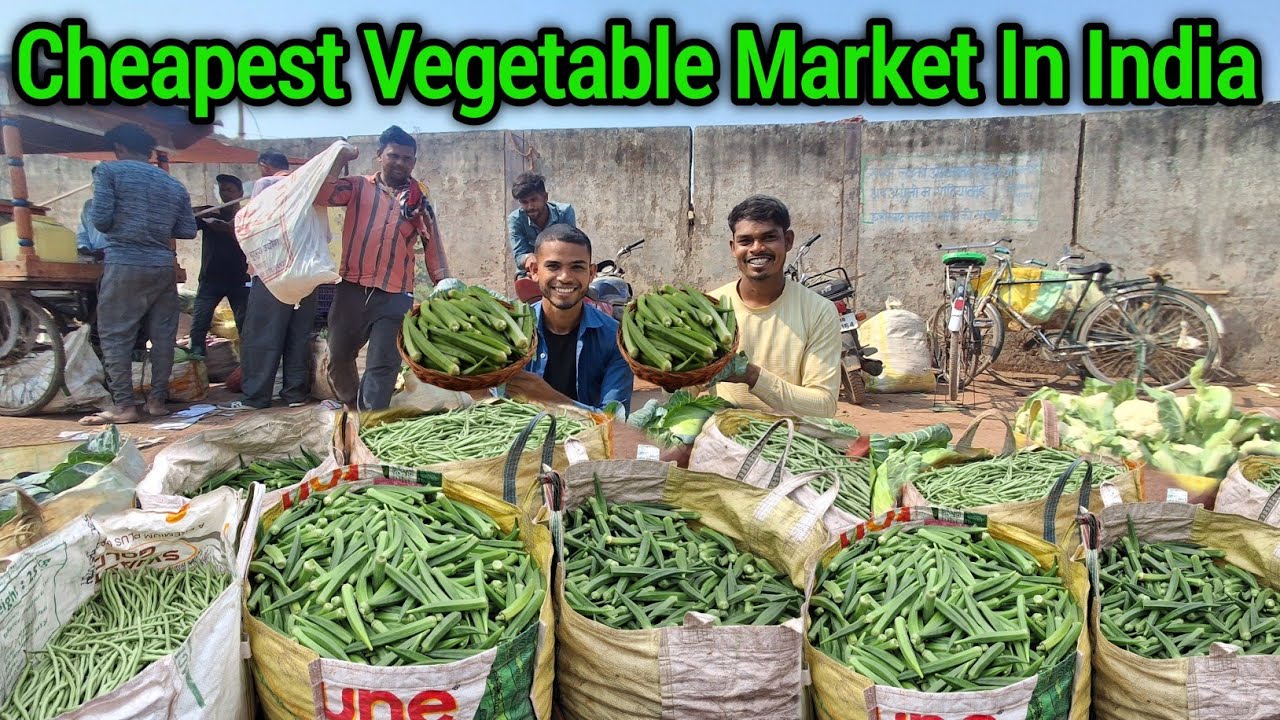 Today Vegetables Price Is Very Down || Cheapest Vegetable Market In India 