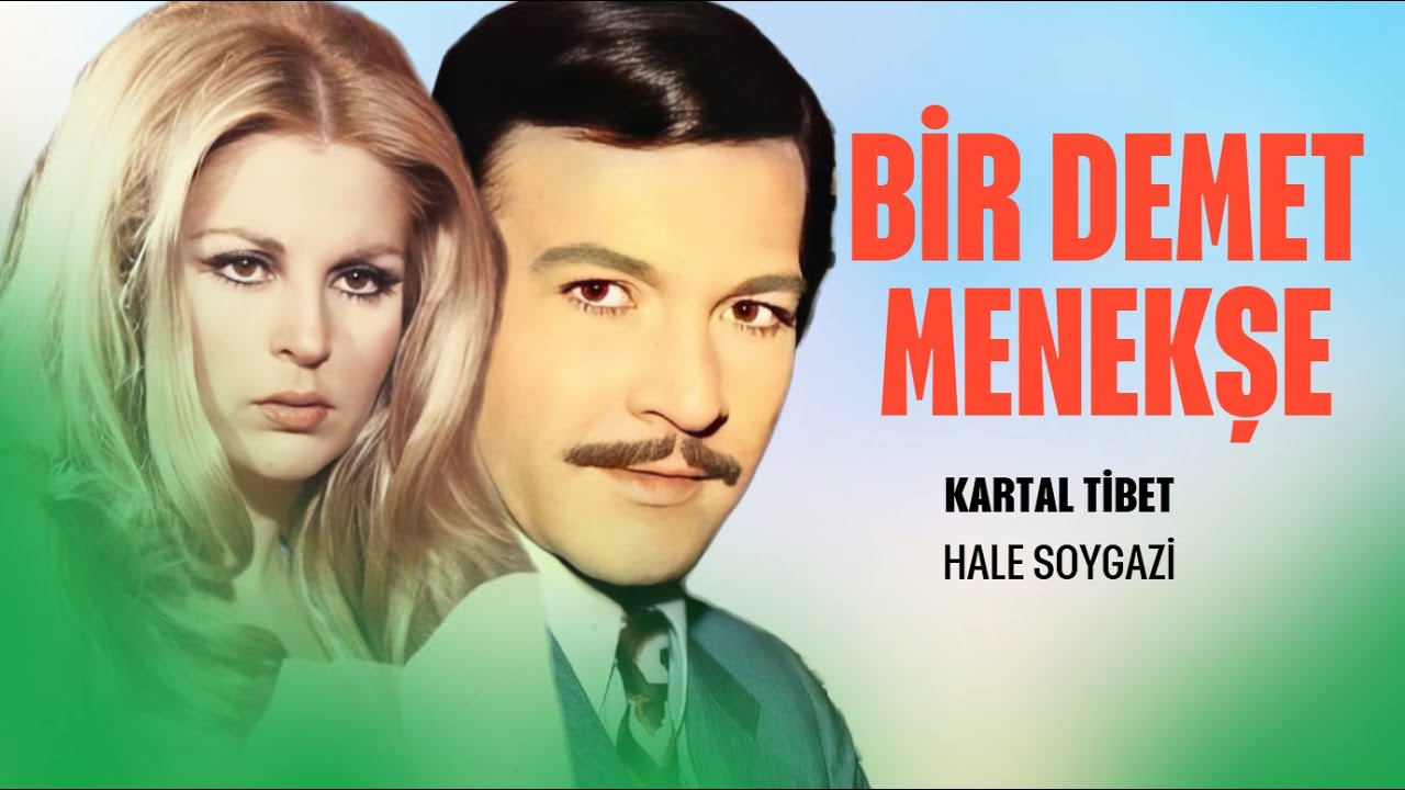 Bir Demet Menekşe Türk Filmi | Kartal Tibet | Hale Soygazi
