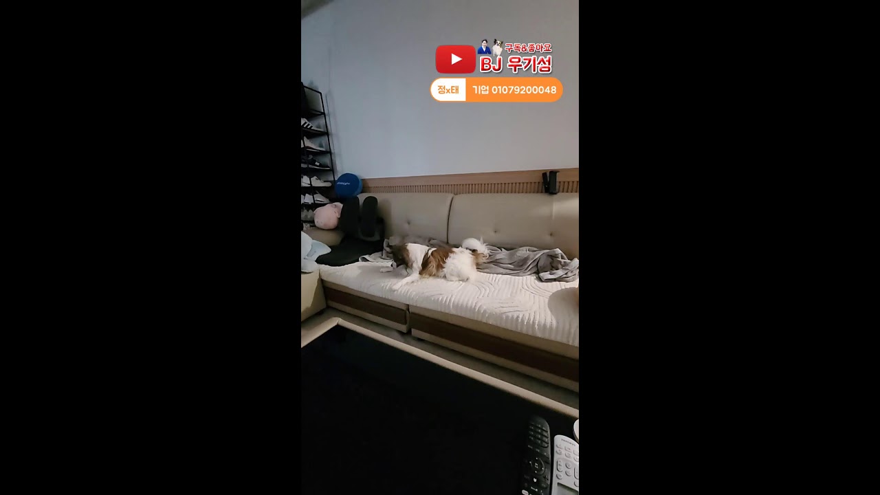 설특집 서울원정!! 초대박 이벤트 우기성의 인형뽑기 Claw Machine