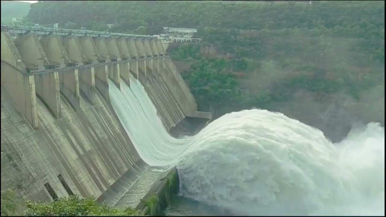 Water outflow view when Srisailam dam gates opened #srisailam #2024 #dam  🌧🌊
